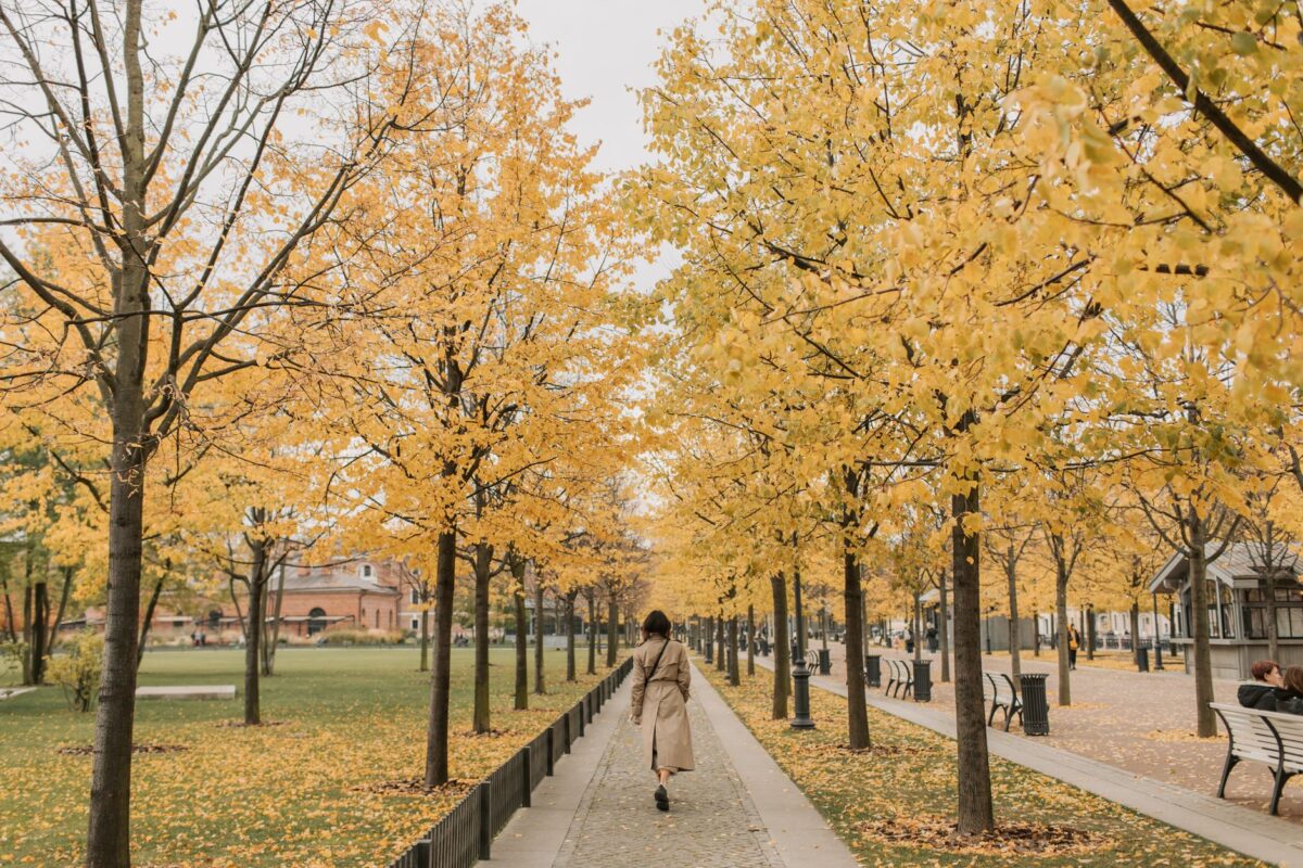 Woman walking along a tree-lined park path in autumn